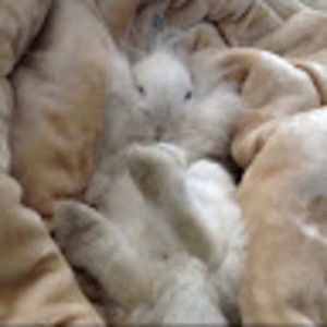 Meet your Posher, Sophia